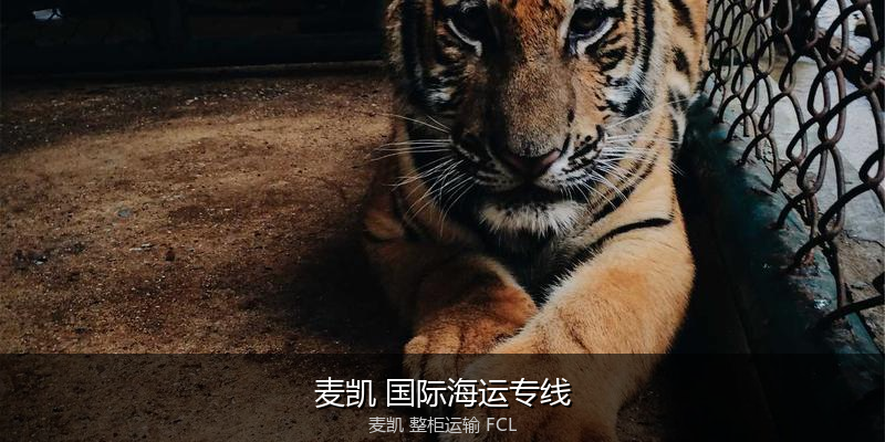 澳大利亚海运清关流程与合规注意事项